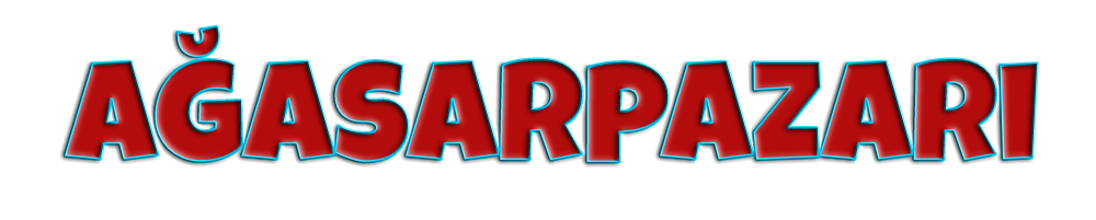 www.agasarpazari.com