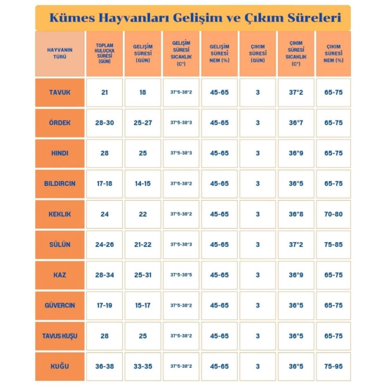 60 Yumurta Kapasiteli Tam Otomatik Kuluçka Makinesi - Civciv, Kaz, Hindi Ve Ördek Yetiştiriciliği Epo-w60 ( Lisinya ) 60 Yumurta Kapasiteli Tam Otomatik Kuluçka Makinesi - Civciv, Kaz, Hindi Ve Ördek Yetiştiriciliği Epo-w60 ( Lisinya )