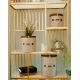 Deri Şeritli Yuvarlak Çok Amaçlı Düzenleyici Organizer Kutu Keçe Sepet (maxi) 03815 ( Lisinya ) Deri Şeritli Yuvarlak Çok Amaçlı Düzenleyici Organizer Kutu Keçe Sepet (maxi) 03815 ( Lisinya )