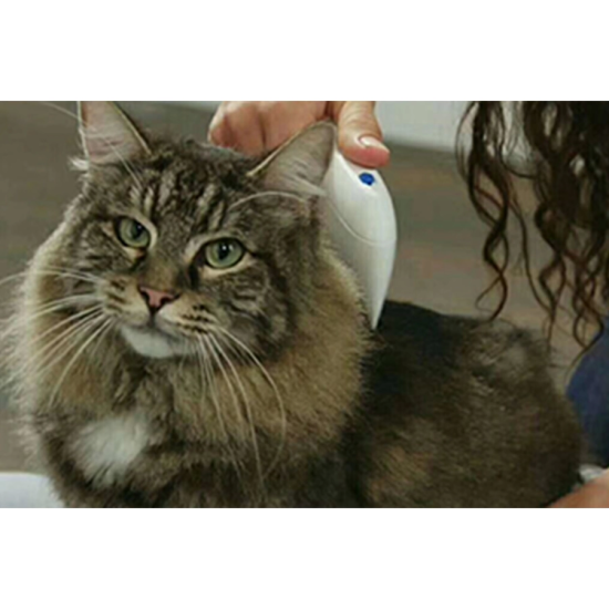 Kedi Köpek Pire Temizleyici Pire Tarağı Flea Doctor ( Lisinya ) Kedi Köpek Pire Temizleyici Pire Tarağı Flea Doctor ( Lisinya )