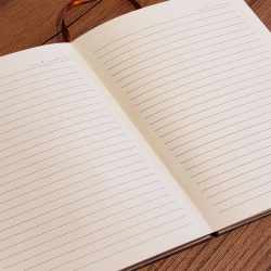 Çizgili Deri Defter - Lisinya