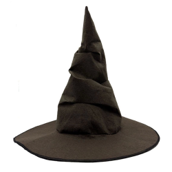 Harry Potter Seçmen Şapkası Çocuk Boy - Lisinya