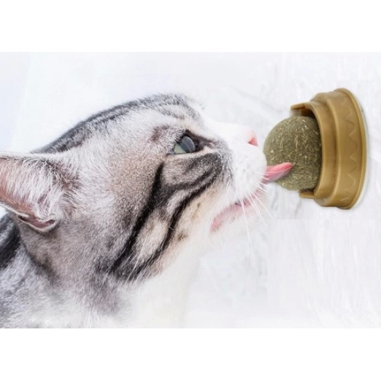 Kedi Nanesi Oyun Topu - Lisinya