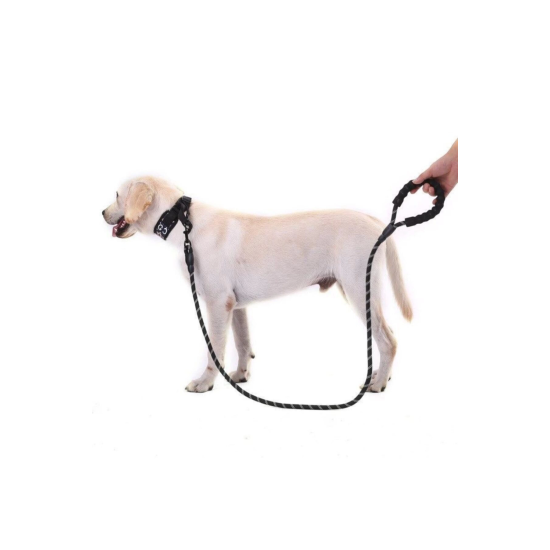 Köpekler İçin Gezdirme Tasması Reflektörlü 130 Cm Halat Orta Ve Büyük Boy Köpekler İçin Siyah - Lisinya Köpekler İçin Gezdirme Tasması Reflektörlü 130 Cm Halat Orta Ve Büyük Boy Köpekler İçin Siyah - Lisinya