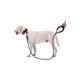 Köpekler İçin Gezdirme Tasması Reflektörlü 130 Cm Halat Orta Ve Büyük Boy Köpekler İçin Siyah - Lisinya Köpekler İçin Gezdirme Tasması Reflektörlü 130 Cm Halat Orta Ve Büyük Boy Köpekler İçin Siyah - Lisinya