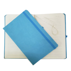 Defter - Lisinya