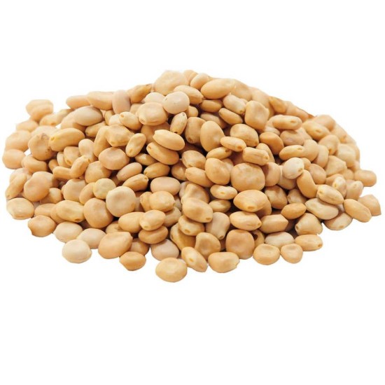 Acı Bakla Tohumu Yahudi Baklası Doğal 50 Gr Paket Acı Bakla Tohumu Yahudi Baklası Doğal 50 Gr Paket