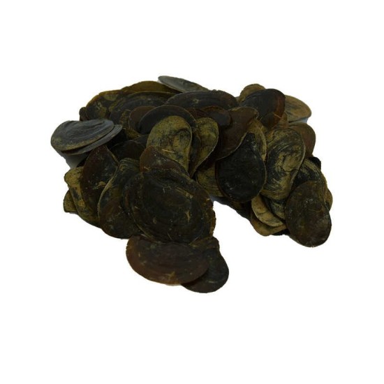 Cin Tırnağı 100 Gr Paket Cin Tırnağı 100 Gr Paket