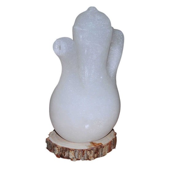 İbrik Şekilli Doğal Kaya Tuzu Lambası Çankırı Kablolu Ampullü Beyaz 5-7 Kg İbrik Şekilli Doğal Kaya Tuzu Lambası Çankırı Kablolu Ampullü Beyaz 5-7 Kg