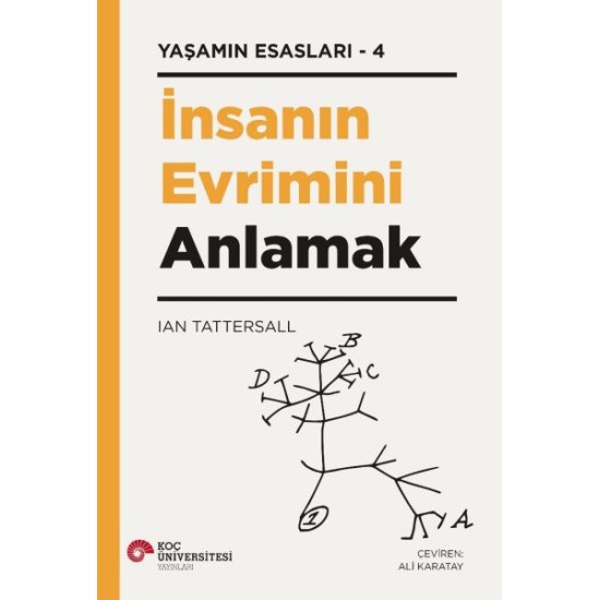 İnsanın Evrimini Anlamak - Yaşamın Esasları 4 İnsanın Evrimini Anlamak - Yaşamın Esasları 4
