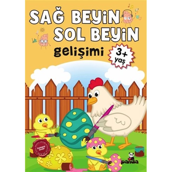 3 Yaş Sağ Beyin-Sol Beyin Gelişimi 3 Yaş Sağ Beyin-Sol Beyin Gelişimi