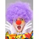 Mor Renk Kıvırcık Afro Bonus Peruk Takma Saç ve Kırmızı B Seti Mor Renk Kıvırcık Afro Bonus Peruk Takma Saç ve Kırmızı B Seti