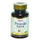 Propolis 80 Kapsül Propolis 80 Kapsül