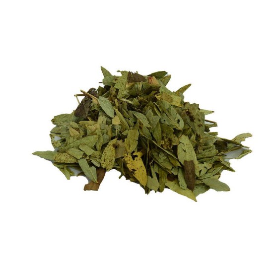 Sinameki Yaprağı Doğal 100 Gr Paket Sinameki Yaprağı Doğal 100 Gr Paket