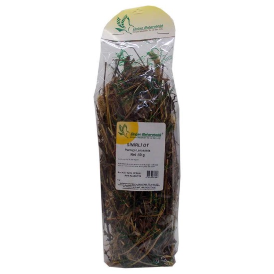 Sinirli Yaprak Otu Sinirli Ot Doğal 50 Gr Paket Sinirli Yaprak Otu Sinirli Ot Doğal 50 Gr Paket