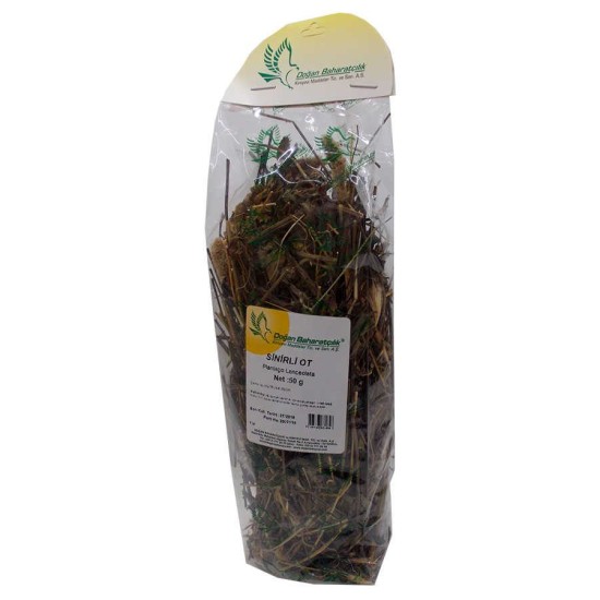 Sinirli Yaprak Otu Sinirli Ot Doğal 50 Gr Paket Sinirli Yaprak Otu Sinirli Ot Doğal 50 Gr Paket