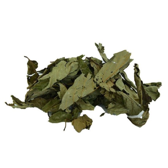 Üvez Yaprağı Doğal 100 Gr Paket Üvez Yaprağı Doğal 100 Gr Paket
