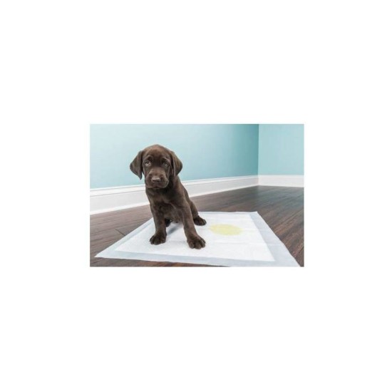 Köpek Tuvalet Çiş Eğitim Pedi 60x90 cm ( 10 Adet ) Köpek Tuvalet Çiş Eğitim Pedi 60x90 cm ( 10 Adet )
