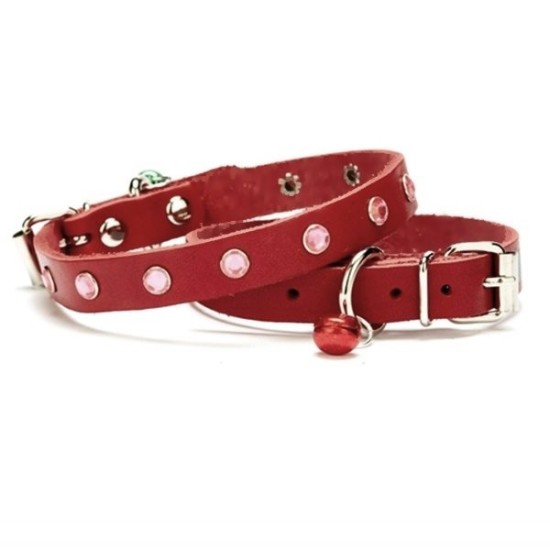 Taşlı Kedi ve Yavru Köpek Tasması 1,0x19 cm Kırmızı Small Taşlı Kedi ve Yavru Köpek Tasması 1,0x19 cm Kırmızı Small