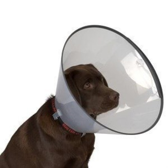 Kedi Köpek Yakalığı 12,5 CM Kedi Köpek Yakalığı 12,5 CM