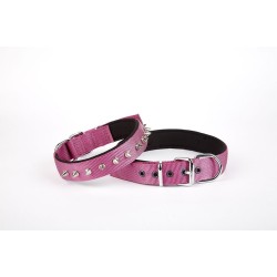 Çivi Desenli Köpek Tasması 2,5*60 cm Mor