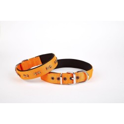 Softlu Kemik Desenli Köpek Tasması 2 cm x 45 cm Tcu