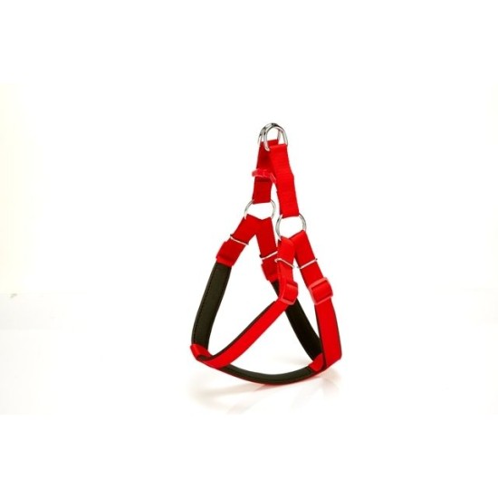 Köpek Bel Tasması 85cm X-Large Kırmızı Köpek Bel Tasması 85cm X-Large Kırmızı