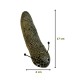 Kedi Oyuncağı Kedi Otlu Benekli Tırtıl 4-17 cm Yeşil Kedi Oyuncağı Kedi Otlu Benekli Tırtıl 4-17 cm Yeşil