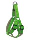Gezdirme Kayışlı Dokuma Köpek Göğüs Tasma Seti 52*73-110 cm Neon Yeşil Gezdirme Kayışlı Dokuma Köpek Göğüs Tasma Seti 52*73-110 cm Neon Yeşil