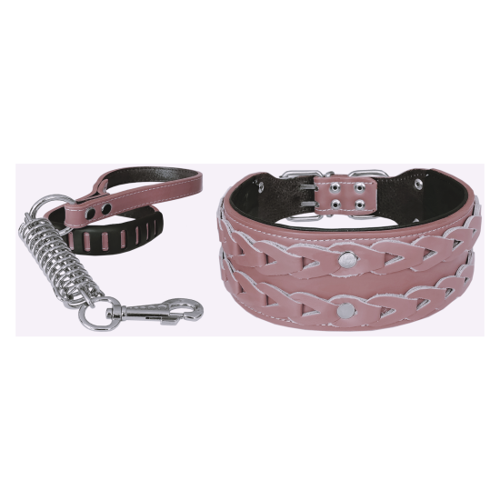 Deri İşlemeli Lüks Köpek Tasma Seti XL 7 cm*60-68 cm Pudra Deri İşlemeli Lüks Köpek Tasma Seti XL 7 cm*60-68 cm Pudra
