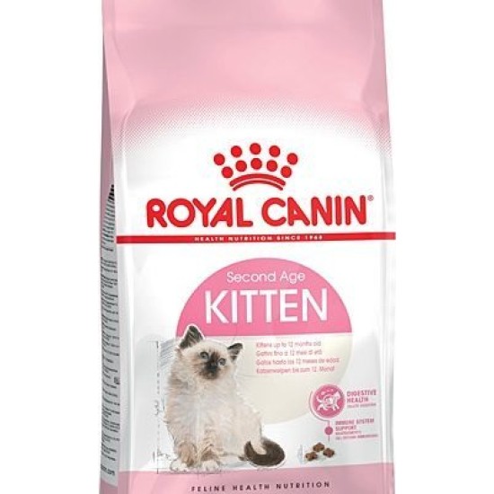 36 Yavru Kedi sı 2 KG 36 Yavru Kedi sı 2 KG