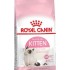 36 Yavru Kedi sı 2 KG