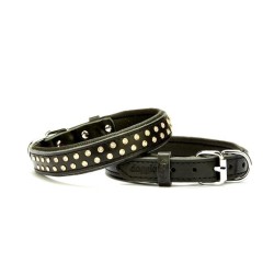 Konforlu Deri  Kristal Taşlı Köpek Boyun Tasması 2 x 28-34 cm Siyah