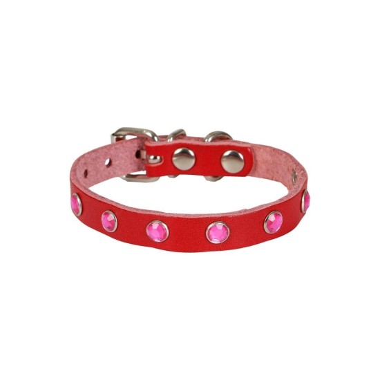 Taşlı Kedi ve Yavru Köpek Tasması 1*23 cm Kırmızı Medium Taşlı Kedi ve Yavru Köpek Tasması 1*23 cm Kırmızı Medium