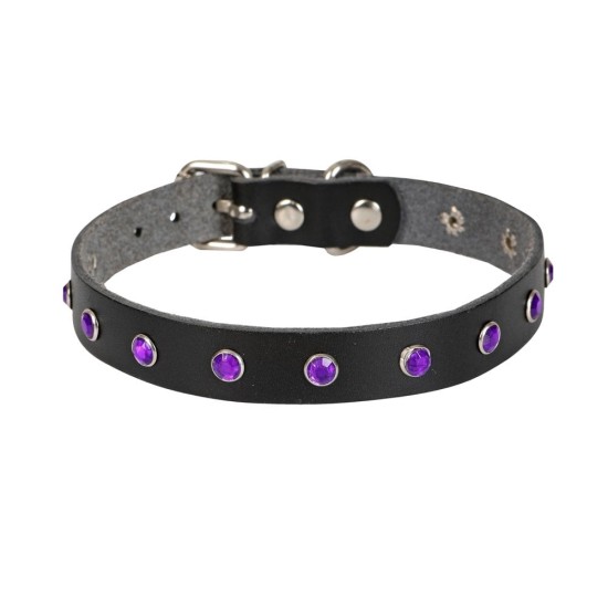 Taşlı Kedi ve Yavru Köpek Tasması 1*23 cm Mavi Medium Taşlı Kedi ve Yavru Köpek Tasması 1*23 cm Mavi Medium