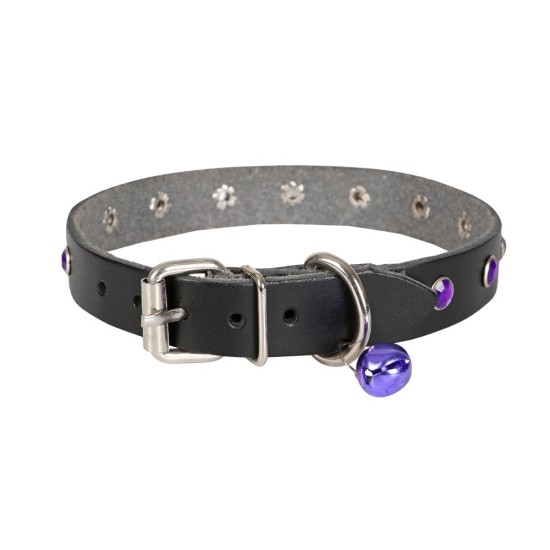 Taşlı Kedi ve Yavru Köpek Tasması 1*23 cm Mavi Medium Taşlı Kedi ve Yavru Köpek Tasması 1*23 cm Mavi Medium
