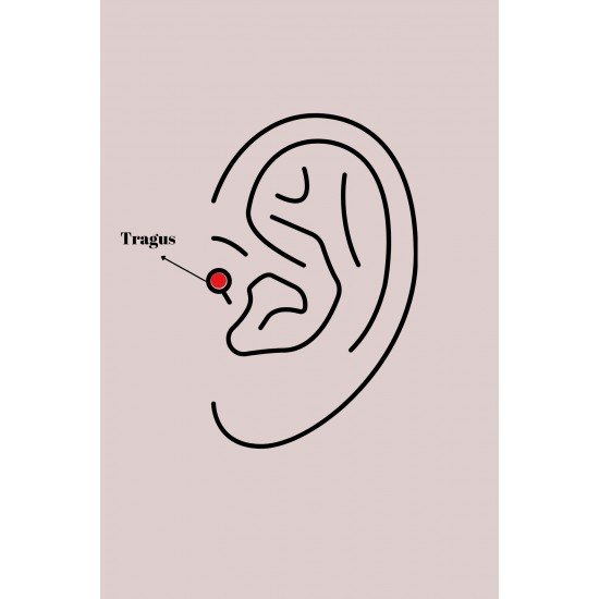 316L Çelik Gold Renk Kırmızı Mineli Kalp Tragus Piercing - Lisinya 316L Çelik Gold Renk Kırmızı Mineli Kalp Tragus Piercing - Lisinya