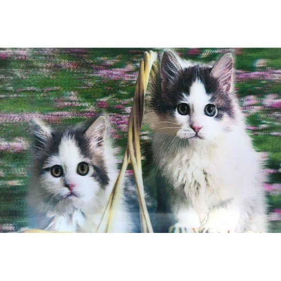 3 Boyutlu Sevimli Kediler İkili Kedi Resmi Tablosu 40x60 cm 3 Boyutlu Sevimli Kediler İkili Kedi Resmi Tablosu 40x60 cm