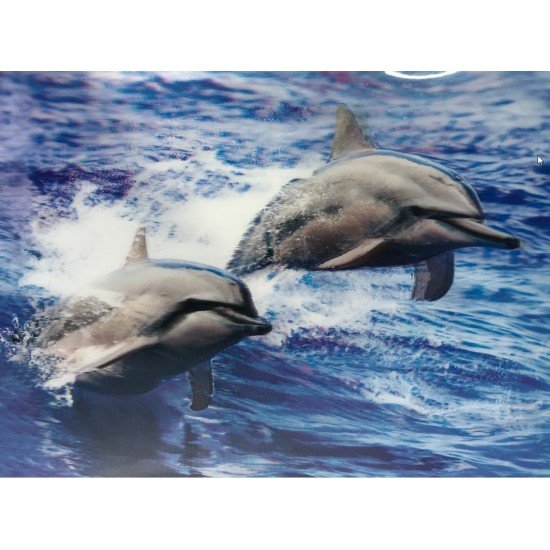 3 Boyutlu Sevimli Yunuslar İkili Yunus Resmi Tablosu 30x40 cm 3 Boyutlu Sevimli Yunuslar İkili Yunus Resmi Tablosu 30x40 cm