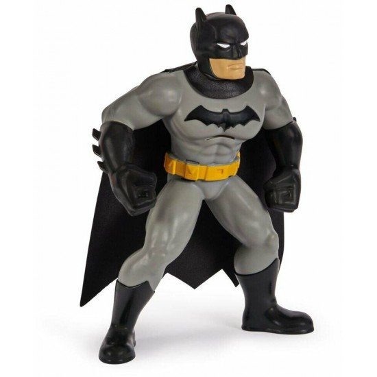 Batman Yüzme Arkadaşları - 6067008 (Lisinya) Batman Yüzme Arkadaşları - 6067008 (Lisinya)
