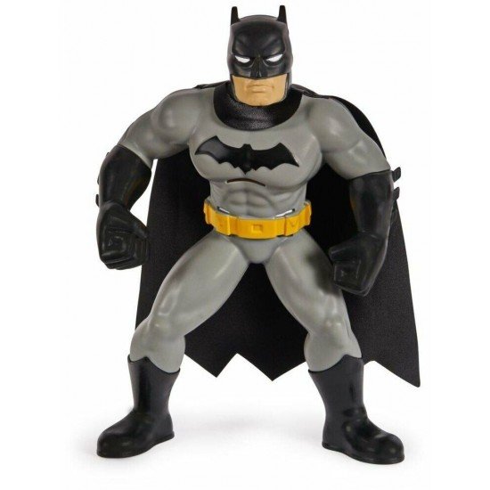 Batman Yüzme Arkadaşları - 6067008 (Lisinya) Batman Yüzme Arkadaşları - 6067008 (Lisinya)