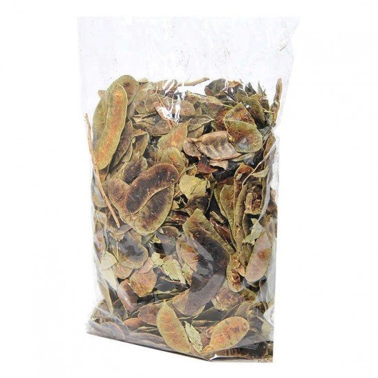 Açlık Otu Erkek Sinameki Doğal 100 Gr Paket Açlık Otu Erkek Sinameki Doğal 100 Gr Paket
