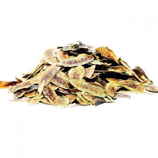 Açlık Otu Erkek Sinameki Doğal 100 Gr Paket Açlık Otu Erkek Sinameki Doğal 100 Gr Paket