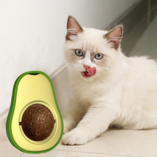 Avokado Dönen Kedi Nanesi Cat Oyun Topu Doğal Kedi Oyuncağı Avokado Dönen Kedi Nanesi Cat Oyun Topu Doğal Kedi Oyuncağı