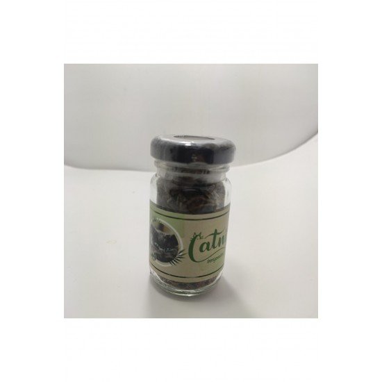 Catnip Doğal Kedi Otu - Kedi Nanesi Catnip Doğal Kedi Otu - Kedi Nanesi