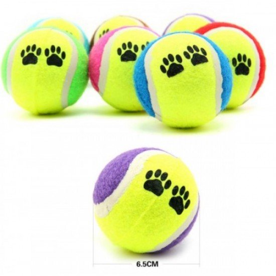 At Getir Köpek Eğitim Topu At Getir Köpek Eğitim Topu