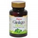 Ginkgo Biloba 60 Tablet Ginkgo Biloba 60 Tablet