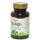 Ginkgo Biloba 60 Tablet Ginkgo Biloba 60 Tablet
