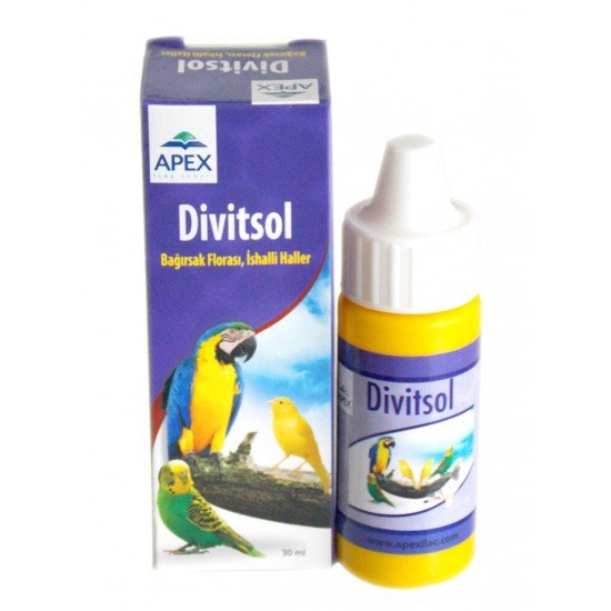 Güvercin - Apex Divitsol ( İçin) Güvercin - Apex Divitsol ( İçin)