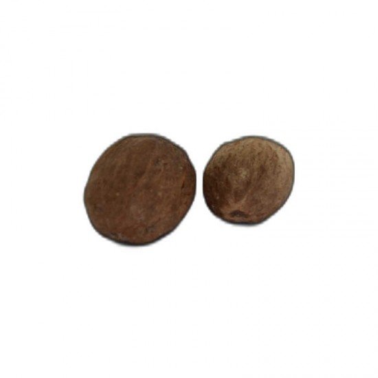 Hint Cevizi Muskat Küçük Hindistan Cevizi Doğal 10 gr Paket Hint Cevizi Muskat Küçük Hindistan Cevizi Doğal 10 gr Paket